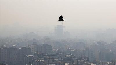 آلودگی هوا؛ متهم ردیف اول زمستان کم‌بارش امسال! | رویداد24