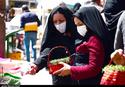 نمایشگاه بهاره در استان مازندران برپا می‌شود‌/ عرضه فوق‌العاده کالاهای مردم - تسنیم