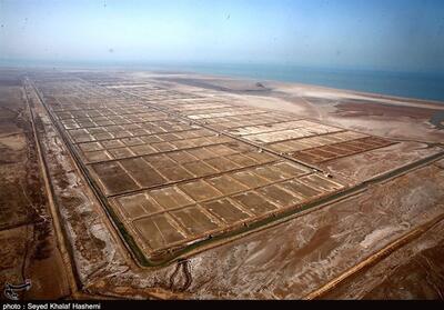 واگذاری 2200 هکتار اراضی ساحلی بوشهر به سرمایه‌گذاران در عرصه پرورش میگو - تسنیم