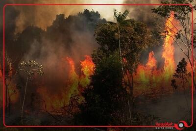 تصاویر هوایی از آتش سوزی جنگل های در کشمیر ھند