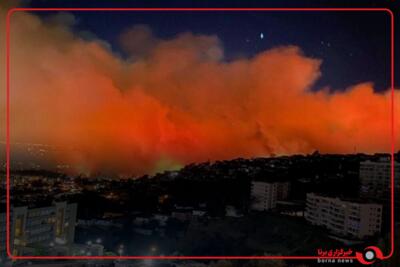 آتش سوزی جنگلی در پانگویلمو شیلی