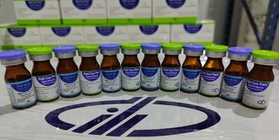 خبرگزاری فارس - مطالعات پیش بالینی واکسن رازی به پایان رسید
