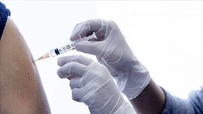مطالعات پیش‌بالینی واکسن دوگانه کووید-19 و آنفلوانزا در موسسه رازی/ پیشرفت‌های موسسه رازی در تحقیقات واکسن‌های دوگانه و سه‌گانه تنفسی/ ساخت واکسن دوگانه با همکاری یک شرکت خارجی