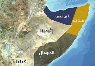 سومالی:حل مشکل دریای سرخ در گرو توقف جنگ غزه است - تسنیم
