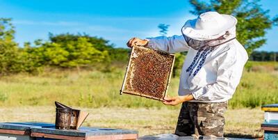 خبرگزاری فارس - تولید ۵۳ تن عسل در شهرستان البرز