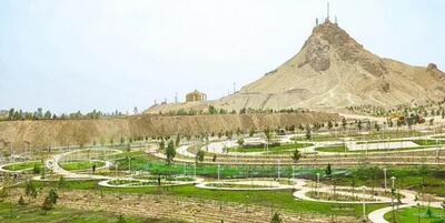خبرگزاری فارس - درختان مثمر جایگزین درختان غیر مثمر در قم می‌شوند