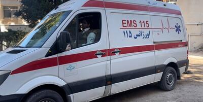 خبرگزاری فارس - واردات آمبولانس از پرداخت حقوق ورودی و عوارض گمرکی معاف شد