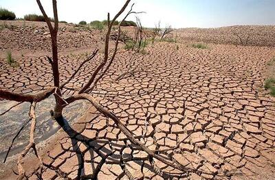 بحران خشکسالی در بردسکن از همیشه جدی‌تر است