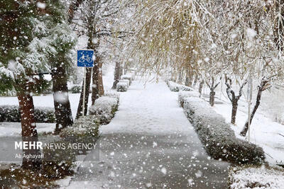 نخستین برف زمستانی چهره شهر ارومیه را سفیدپوس کرد