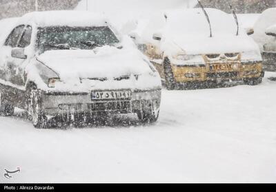 بارش سنگین برف در استان اردبیل/ برودت شدید هوا و کولاک در بسیاری از مناطق + فیلم و تصاویر - تسنیم