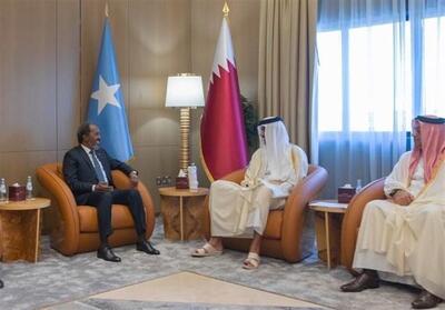 گفت‌وگوی رئیس جمهور سومالی با امیر قطر در دوحه - تسنیم