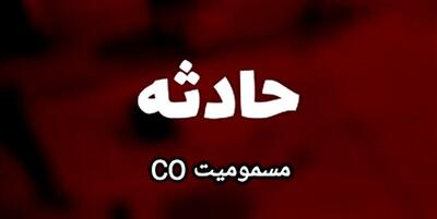 خبرگزاری فارس - گازگرفتگی ۳۱ نفر از معتکفان در فرومد
