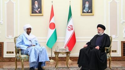 آمادگی ایران برای تبادل ظرفیت‌ها در بخش‌های مختلف با نیجر