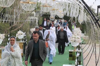 جشن ازدواج آسان ۲۲۰ زوج تحت پوشش بهزیستی بوشهر برگزار شد