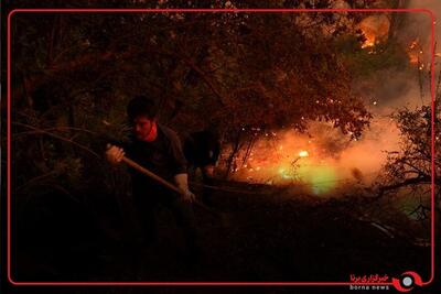 آتش سوزی گسترده در جنگل کویهایک شیلی
