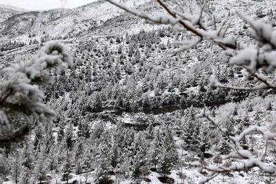 احتمال بارش برف و باران در ۸ استان ایران