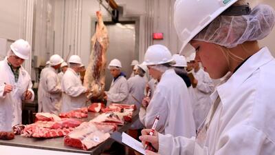 مراحل پرورش ، برش و بسته بندی گوشت هزاران گاو در آمریکا (فیلم)