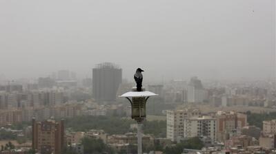 پیرهادی، نماینده: نیمی از جمعیت کشور در معرض آلودگی هوا قرار دارند