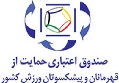 پایان کار شهریاری در صندوق حمایت از قهرمانان/ واحدی در انتظار حکم وزیر ورزش - تسنیم