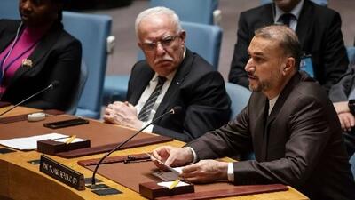  آیا امیرعبداللهیان نمی‌توانست به زبان فارسی در شورای امنیت سازمان ملل سخنرانی کند؟