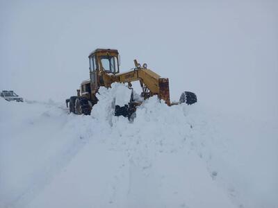 پلیس راه: جاده کرج - چالوس به دلیل بارش برف سنگین در محدوده سیاه بیشه بسته شد / مسافران از محورهای جایگزین استفاده کنند
