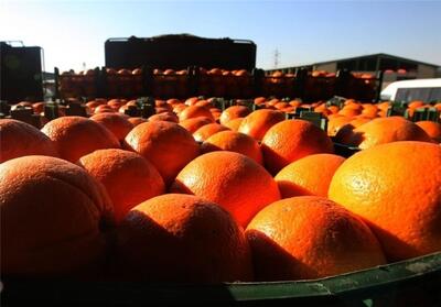 ذخیره‌سازی 400 تن میوه تنظیم بازار شب عید در خراسان جنوبی - تسنیم