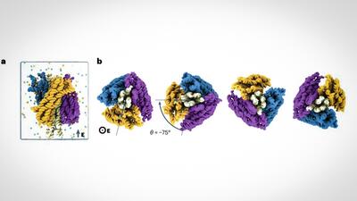 با تا زدن DNA یک الکتروموتور نانویی ساخته شد