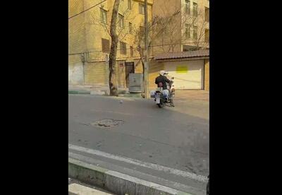 کار زیبای پلیس راهنمایی و رانندگی ایرانی برای محافظت از کبوتر (فیلم)