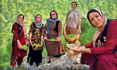 برداشت قارچ وحشی ، پسته کوهی و تهیه کباب توسط خانواده کردستانی (فیلم)