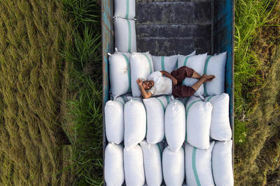 افت 46 درصدی واردات برنج؛ گرانی ارز یا کفایت تولید داخلی؟