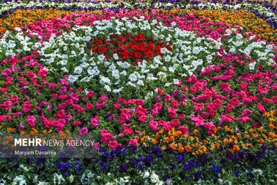 کاشت سه‌هزار نهال و ۶۰ هزار گل در محلات شهر بوشهر