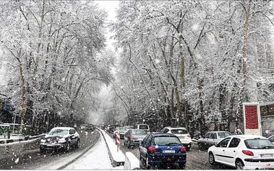 تصاویر زیبا از بارش بی‌نظیر برف در خیابان‌های شمال تهران | ببینید