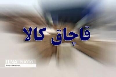 عامل قاچاق کالا در شهرستان البرز بیش از دو میلیارد محکوم شد