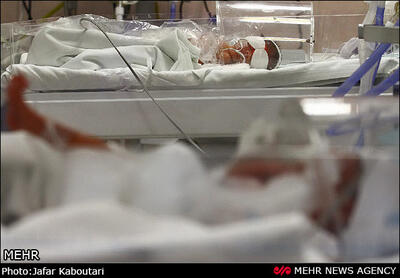 چهارقلوها در بیمارستان افضلی پور کرمان متولد شدند
