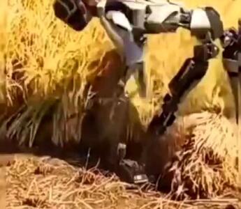 فیلم جالب از ربات کشاورز در مزرعه