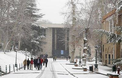 عکس/ بارش برف در تهران