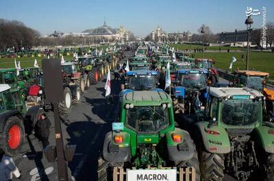 فیلم/ کشاورزان کوچک فرانسوی هم وارد اعتراضات شدند!