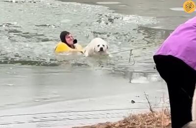 (ویدئو) شنای آتش‌نشان در دریاچه یخ‌زده برای نجات یک سگ