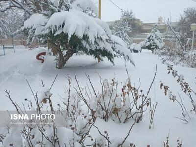 برف، برق حدود ۹۰ روستای لرستان را قطع کرد