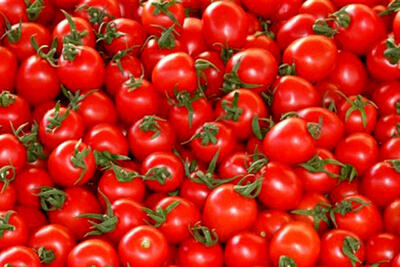 عوارض‌ صادراتی گوجه فرنگی حذف می شود