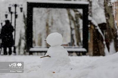 عکس/ برف بازی در تهران