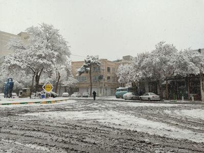 حال و هوای یک روز برفی در مشهد