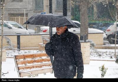 آماده‌باش 1700 نیرو در شهرداری کرمانشاه با شدت گرفتن بارش برف - تسنیم