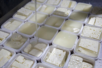 پنیر لیقوان و تبریز در میادین کیلویی چند؟ |  قیمت انواع پنیر محلی و بسته بندی را ببینید