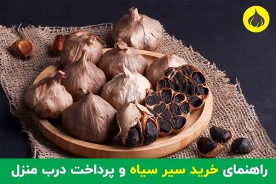 راهنمای خرید سیر سیاه و پرداخت درب منزل