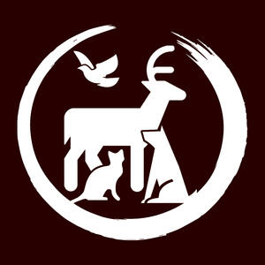 دعوای عجیب و بامزه گربه ها