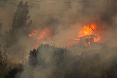 آتش‌سوزی‌های جنگلی در شیلی / ۴۶ نفر جان باختند