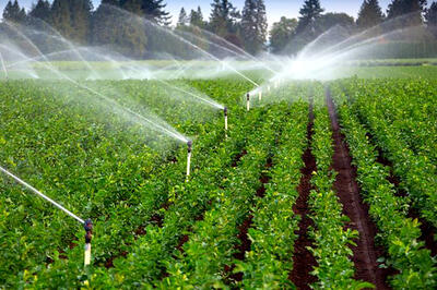 آغاز عملیات اجرایی ۱۰۰ پروژه بهینه‌سازی آب کشاورزی در تویسرکان