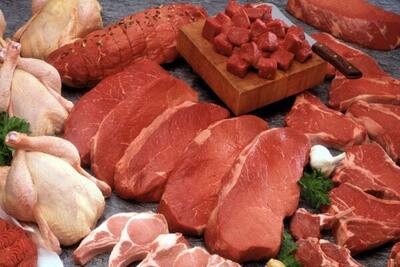 تولید گوشت سفید در کشور افزایش می‌یابد| تکمیل زنجیره تولید