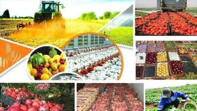 رتبه ۱۶ زنجان در حوزه اشتغال بخش کشاورزی| مصرف آب در بخش کشاورزی مدیریت شود